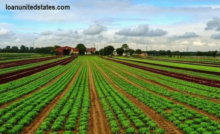 Intensive Agriculture Interpretation: Comprehensive Prospect of Efficient Land Use, Supporting Agricultural Development